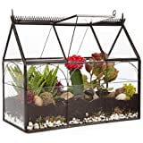 Deco Glass Terrarium, Geometric DIY, Succulent & Air Plant - Hinged Greenhouse Shaped for Indoor Gardening Decor- Create Your own Flower, Fern, Moss Centerpiece- Amazing