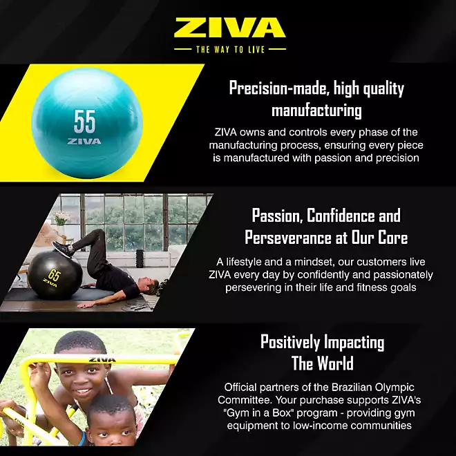 ZIVA Chic Anti-Burst Core Fit Ball