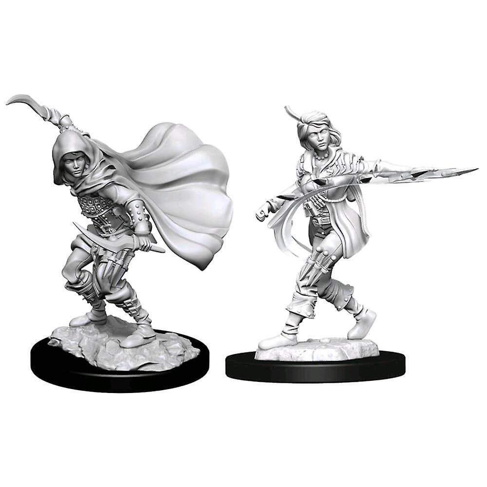 Pathfinder Deep Cuts Miniatures: Human Rogue Female