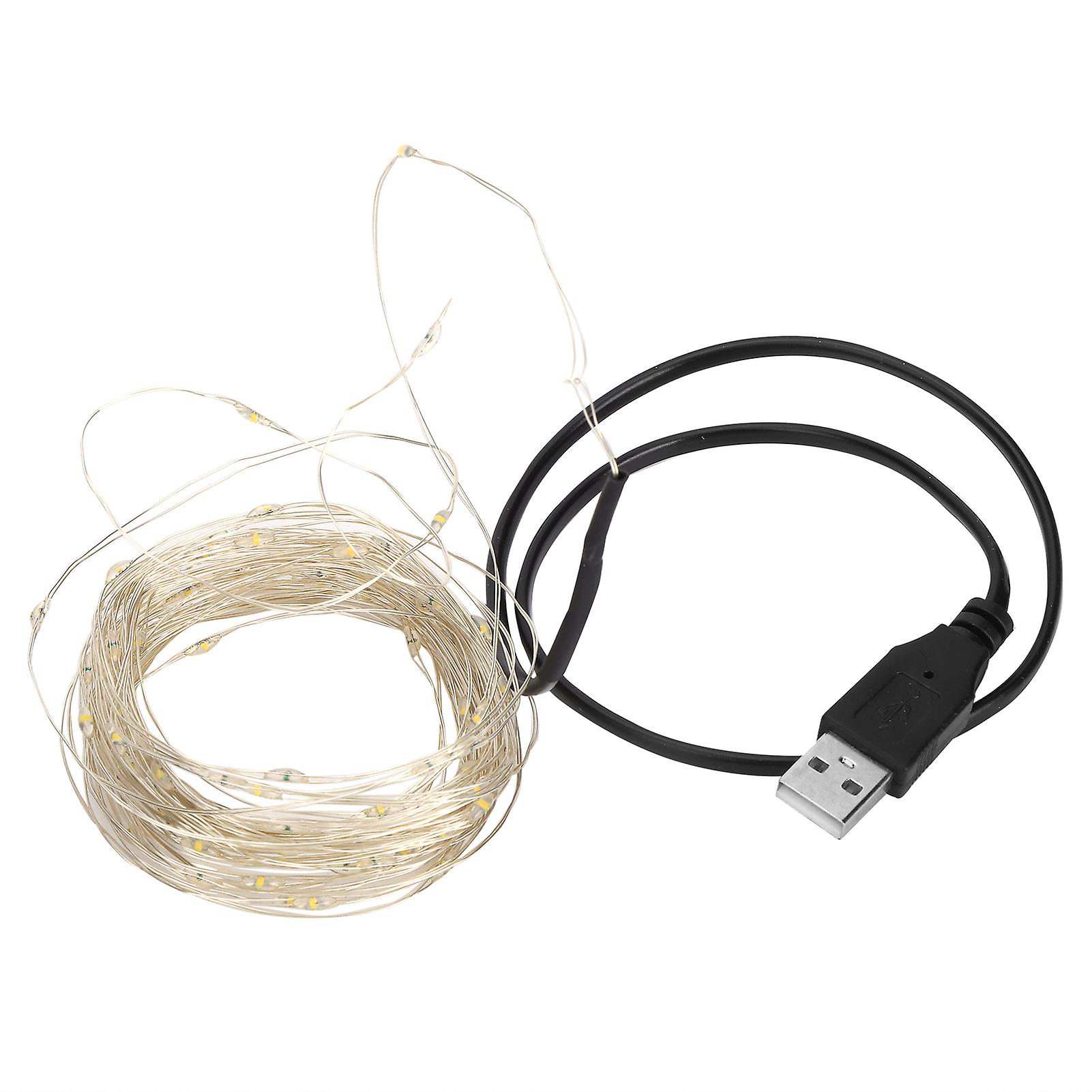 32.8ft Led Light String Copper Wire Usb Charging Decor Lamp For Halloween Home Partywhite Light