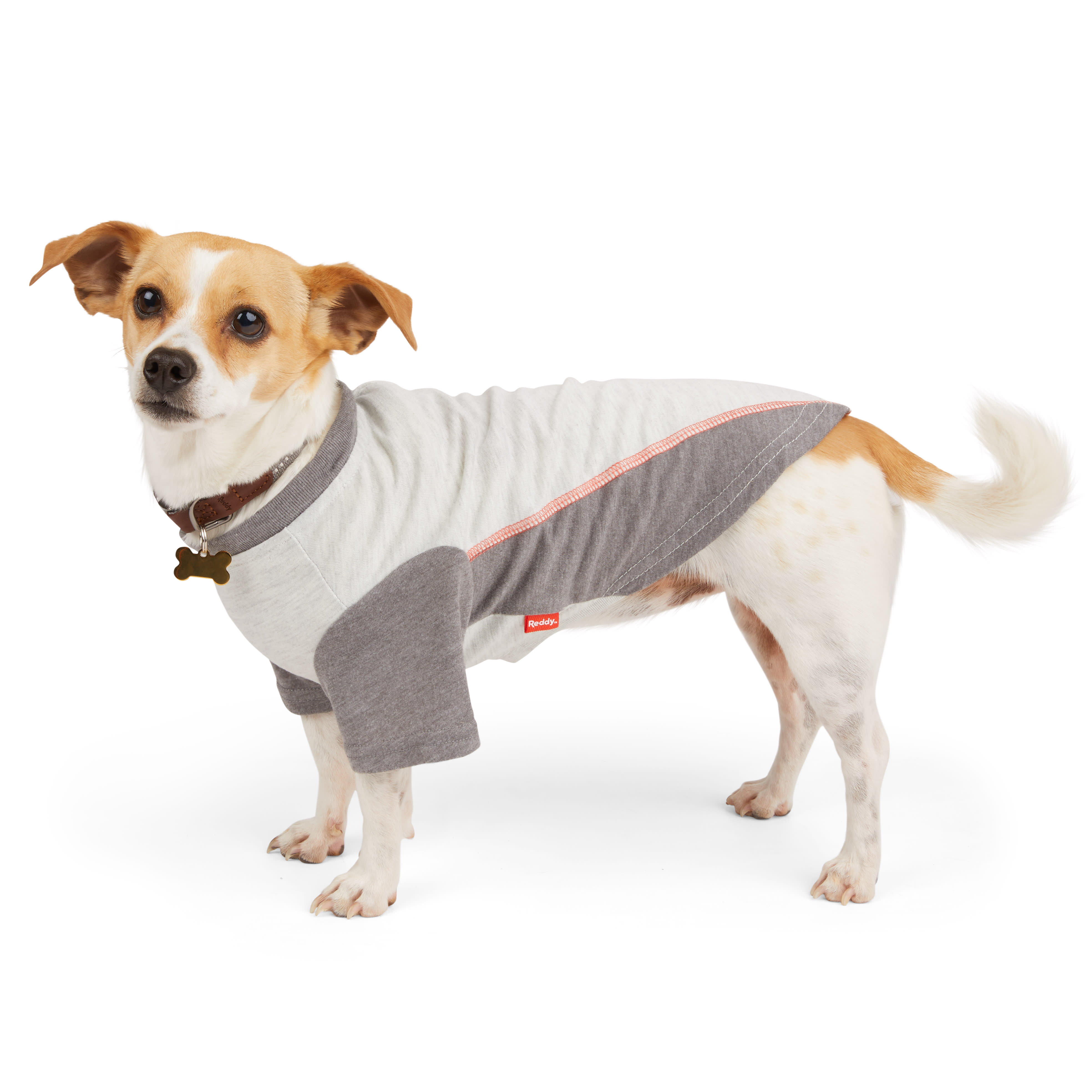 Reddy Grey Cooling Tonal Dog Tee， X-Small