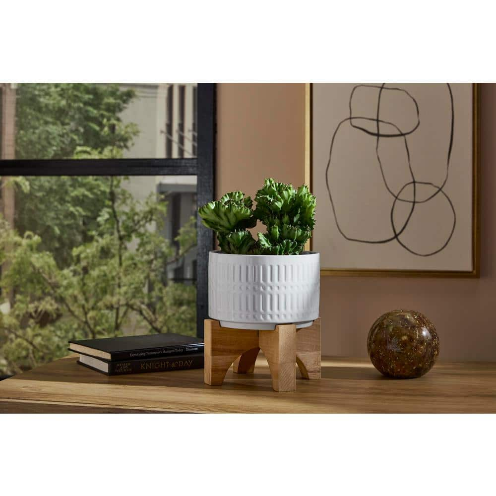 Vigoro 7.5 in. Corrine Small White Ceramic Planter (7.5 in. D x 8.1 in. H) with Wood Stand EM1910-WH