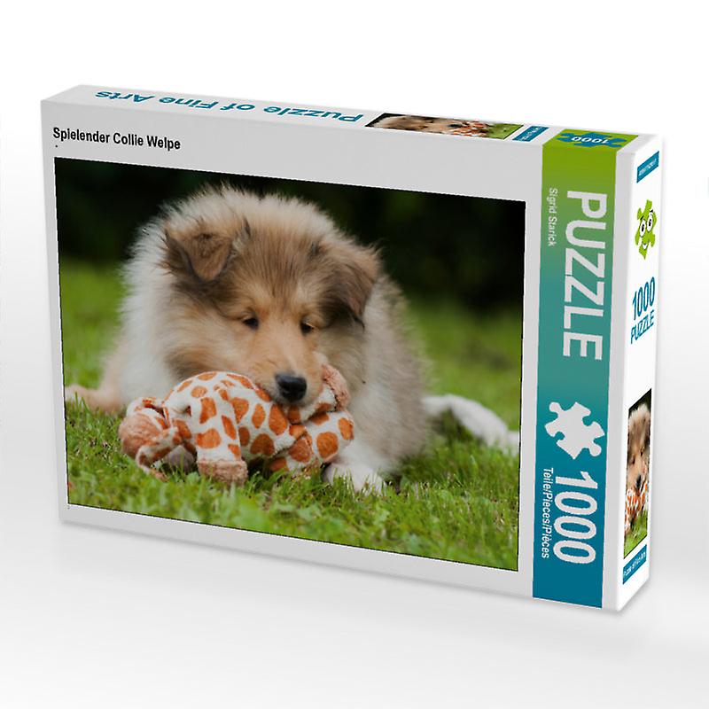 Spielender collie welpe - calvendo foto-puzzle