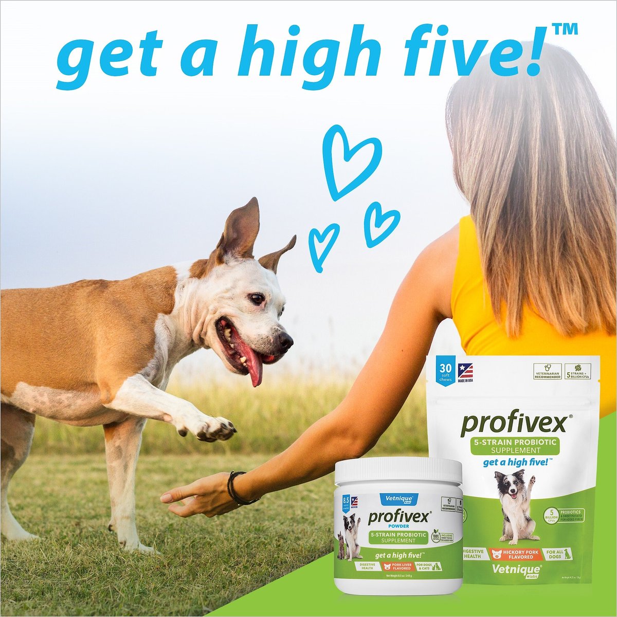 Vetnique Labs Profivex Probiotics 5-Strain Pork Flavored Powder Digestive Supplement for Dogs and Cats