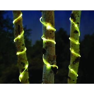 Hampton Bay 38 ft. Low Voltage LED IndoorOutdoor Mini Rope Light 120 Bulbs (2-Pack) NXT-1008(2)