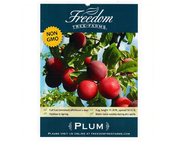 Freedom Tree Farms Santa Rosa Plum Tree in 5 Gallon Bucket