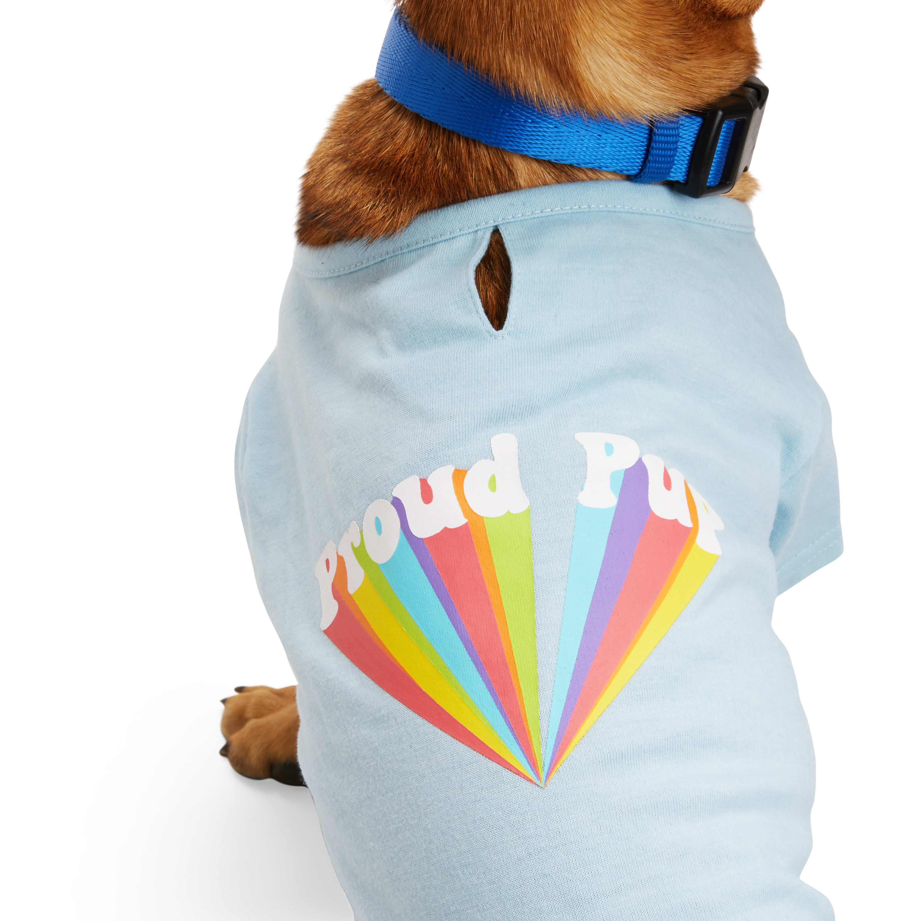 YOULY Pride Proud Pup Dog Tee， X-Small