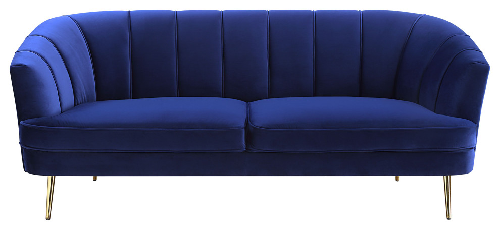 ACME Eivor Sofa  Blue Velvet   Midcentury   Sofas   by Acme Furniture  Houzz