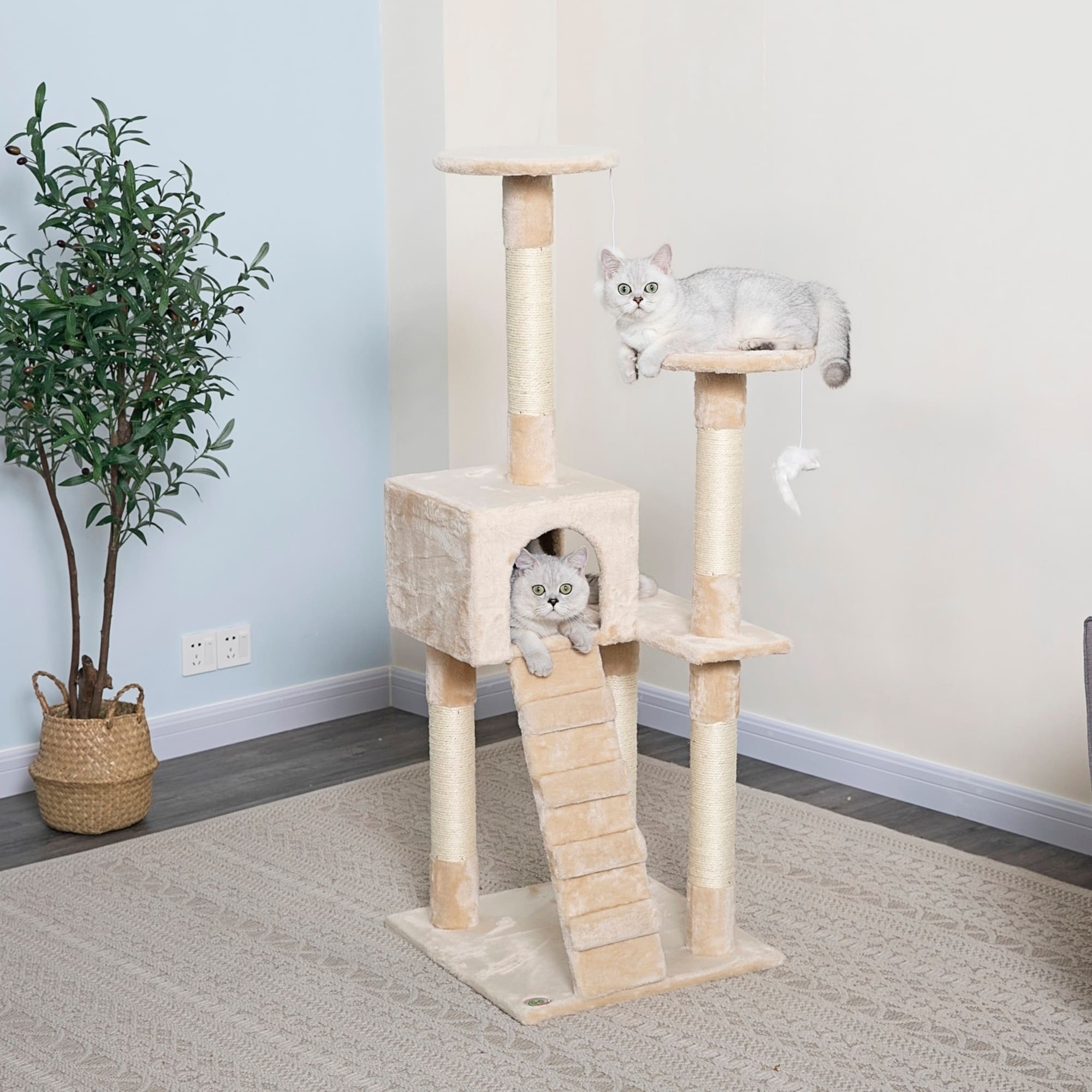 Go Pet Club Economical Beige Cat Tree Condo with Sisal Covered Posts， 51.25