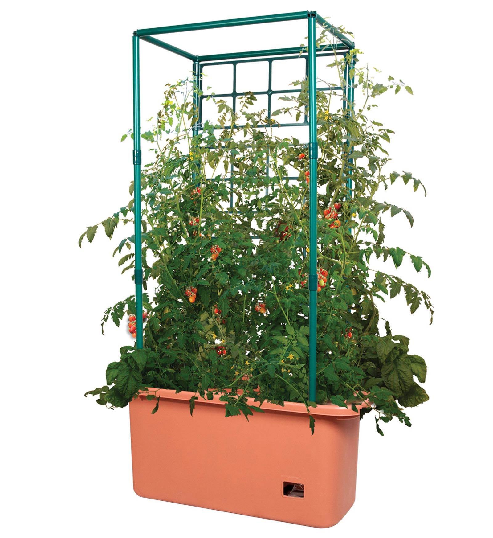 Hydrofarm GCTR 10 Gal Tomato Garden Planting System and 4' Trellis Tower on Wheels