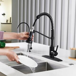 FORIOUS Pull Down Sprayer with Kitchen Faucet Single-Handle Kitchen Sink Faucet in Black HH0027B