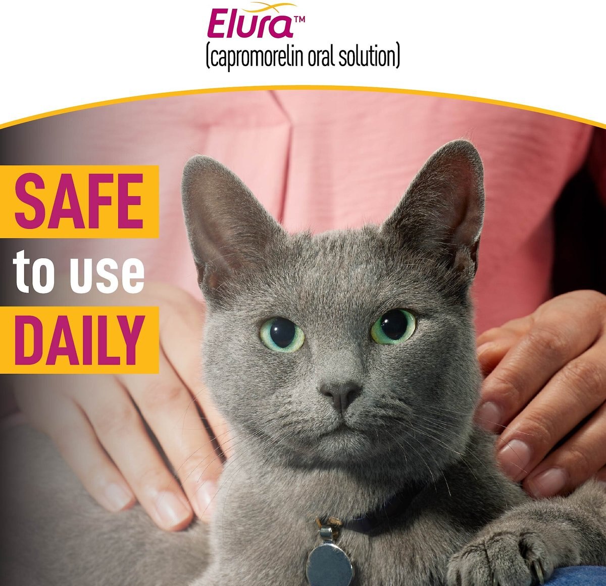 Elura (capromorelinoral solution) for Cats