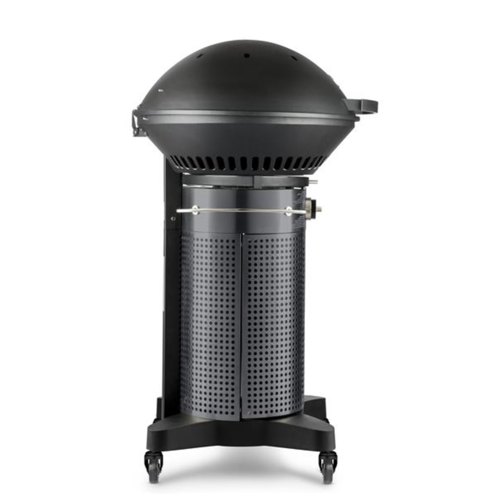 Fuego Professional 24 2 Burner Propane Gas Grill ;