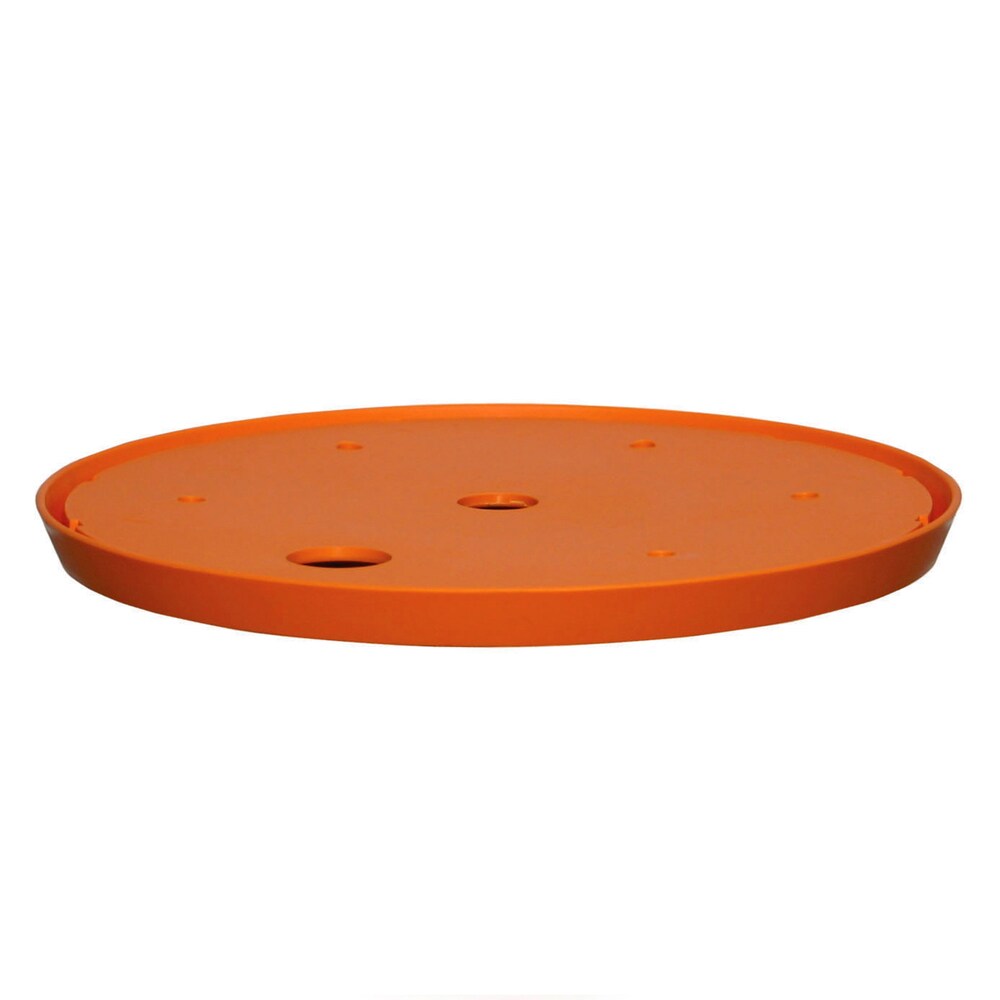 Bloem Ups A Daisy Round Planter Insert: 12\