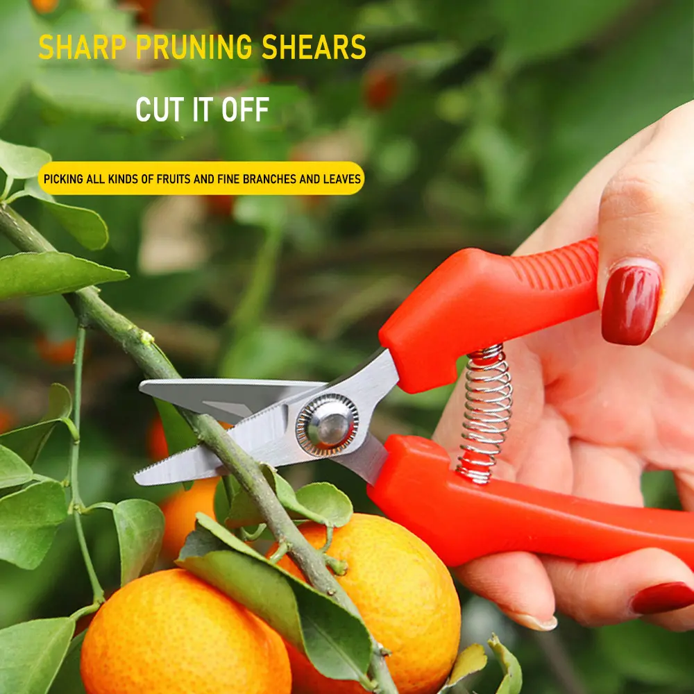 Garden Tools Secateurs Shears Pruning Tool Hand Cutter Grape Fruit Picking Weed Household Potted Metal Gardening Scissors