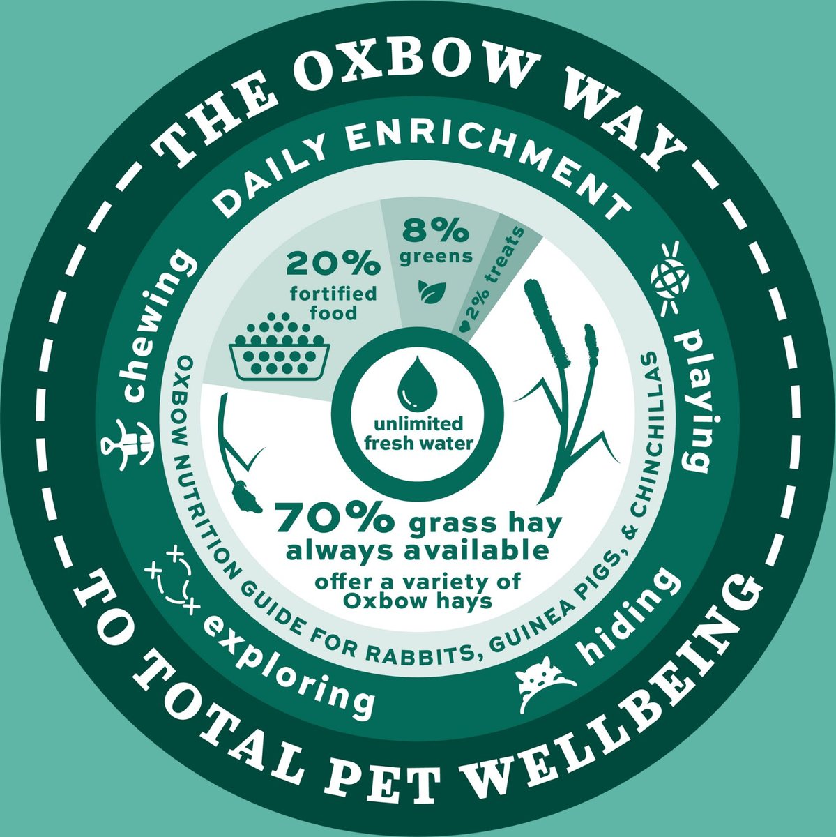 Oxbow No Tip Small Animal Bowl