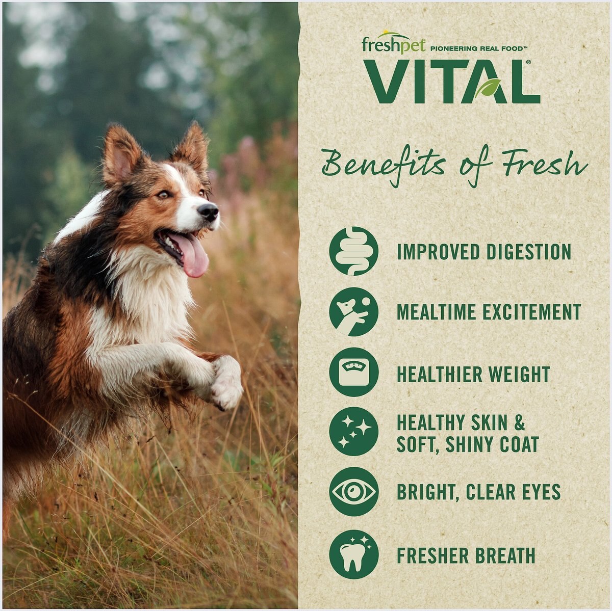 Freshpet Vital Chicken， Beef， Salmon and Egg Recipe Grain-Free Fresh Dog Food