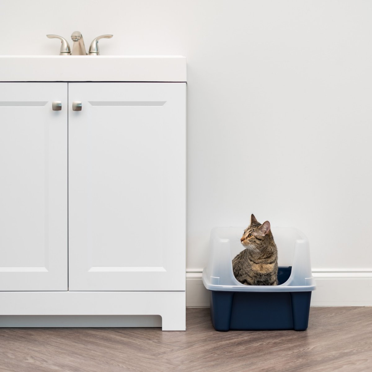 IRIS Open Top Litter Box with Scatter Shield