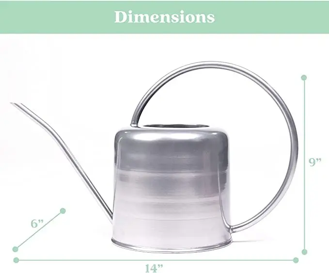 Luxury Selling Indian Supply At cheap prices Silver Modern Long Spout Metal Watering Can For Houseplants Farmhouse Garden Decor