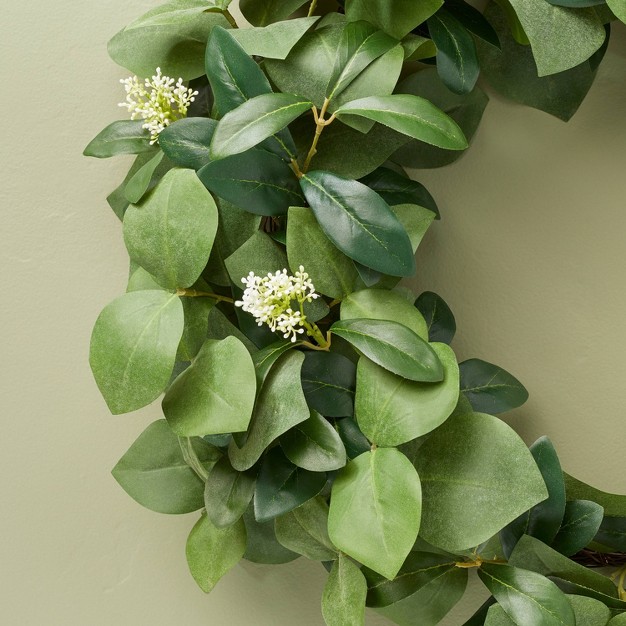 Faux Skimmia Wreath - Hearth and Hand With Magnolia