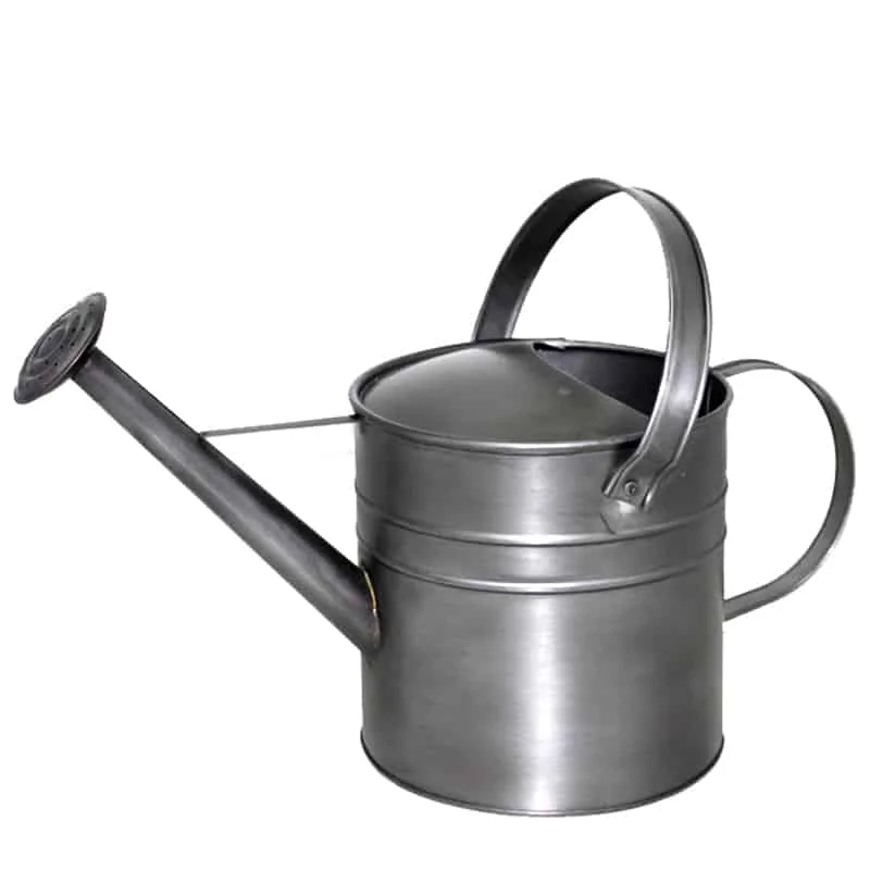 Best Quality Metal Galvanized Water Cans Garden For Farm And Garden Planter Cane Modern Style Factory Rate Customized