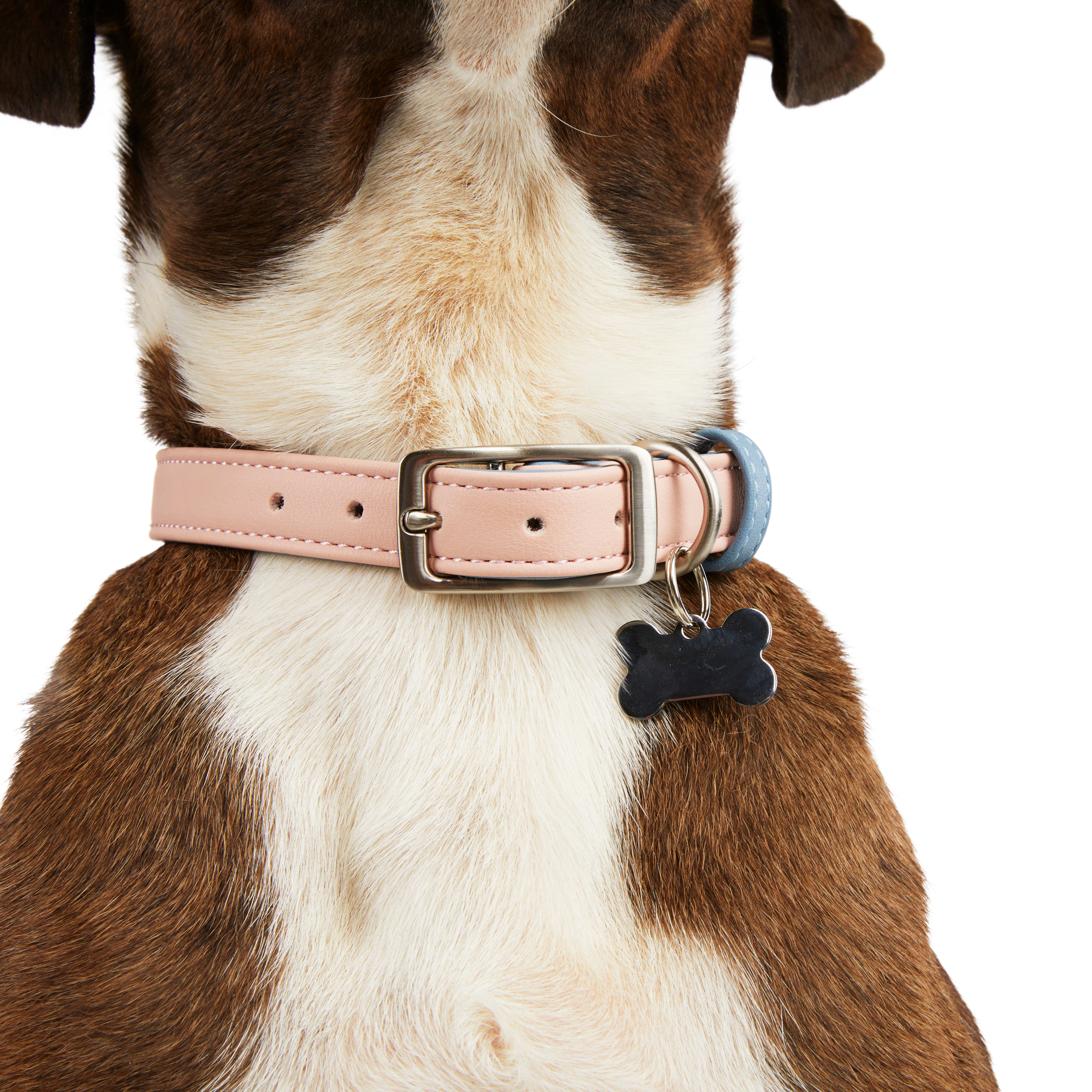 YOULY The Heir Pink  Blue Dog Collar， Small