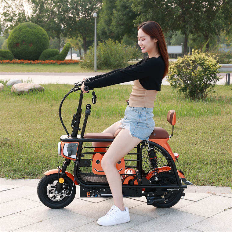 2023 new style High quality Adult Popular Foldable 350w 36v 10ah cycle  mini three wheeled electric bike  pet bike