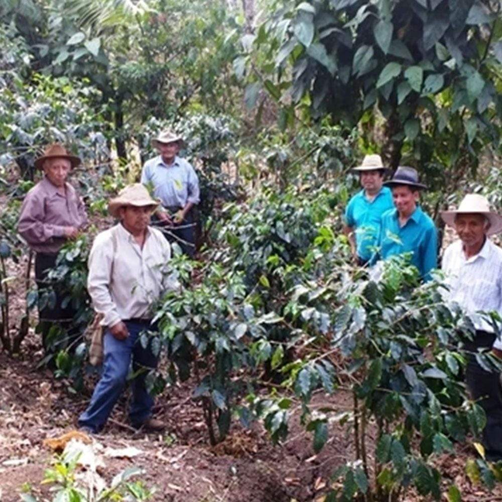 Beachwood, Guatemala