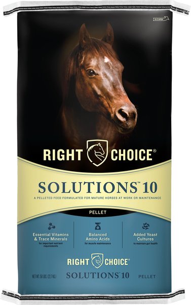 Right Choice Solutions 10 Horse Feed