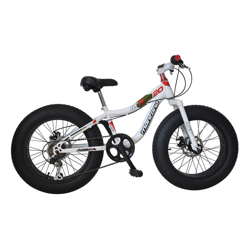 Full suspension 20 inch 26 inch fat bike cycle 7 gear sports bicycle for men