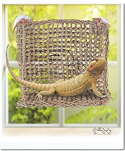 Penn-Plax Reptology Lizard Lounger Sun-Lover Hammock