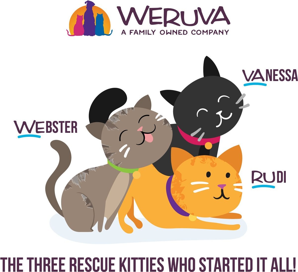 Weruva Slide N' Serve Family Food Chicken Breast Dinner with Tuna Pate Grain-Free Cat Food Pouches