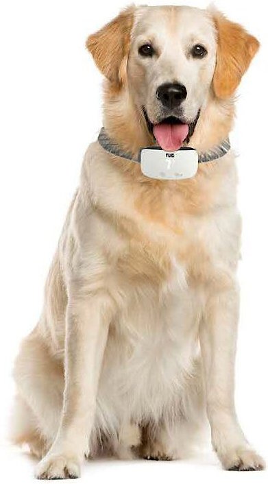 TUG Rechargeable Waterproof Dog Bark Collar， White