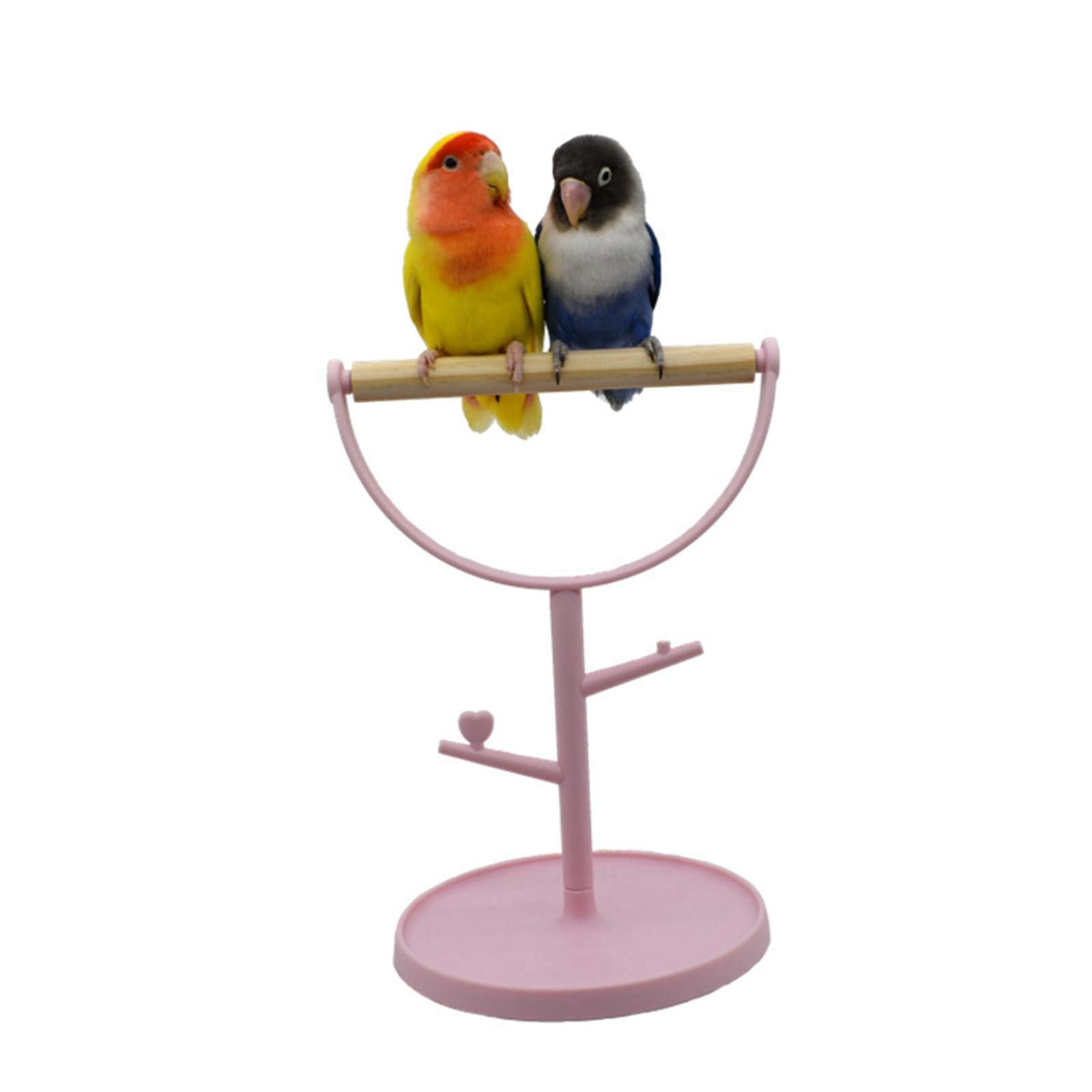 Wooden Parrot Bird Perch Training Stand Tabletop Portable for Parakeets Small