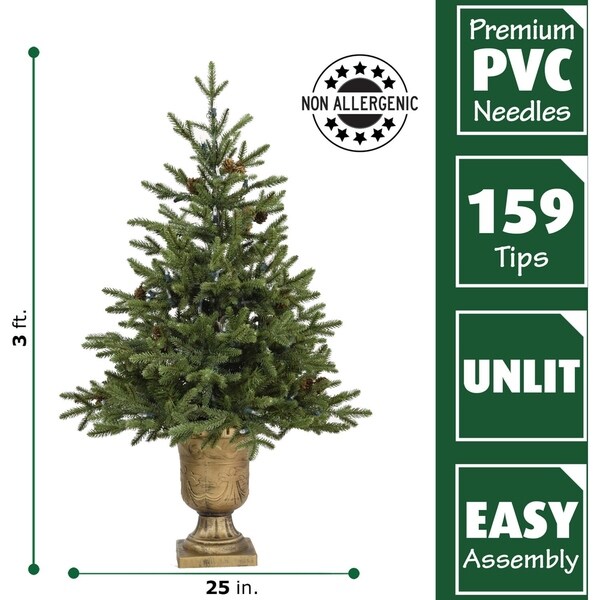 Fraser Hill Farm 3.0' Noble Fir Potted Tree