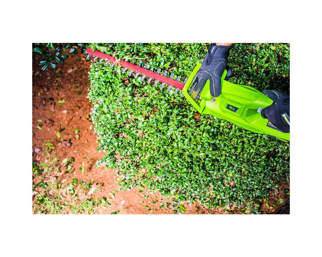 24V 20-Inch Hedge Trimmer  Battery | Greenworks Tools