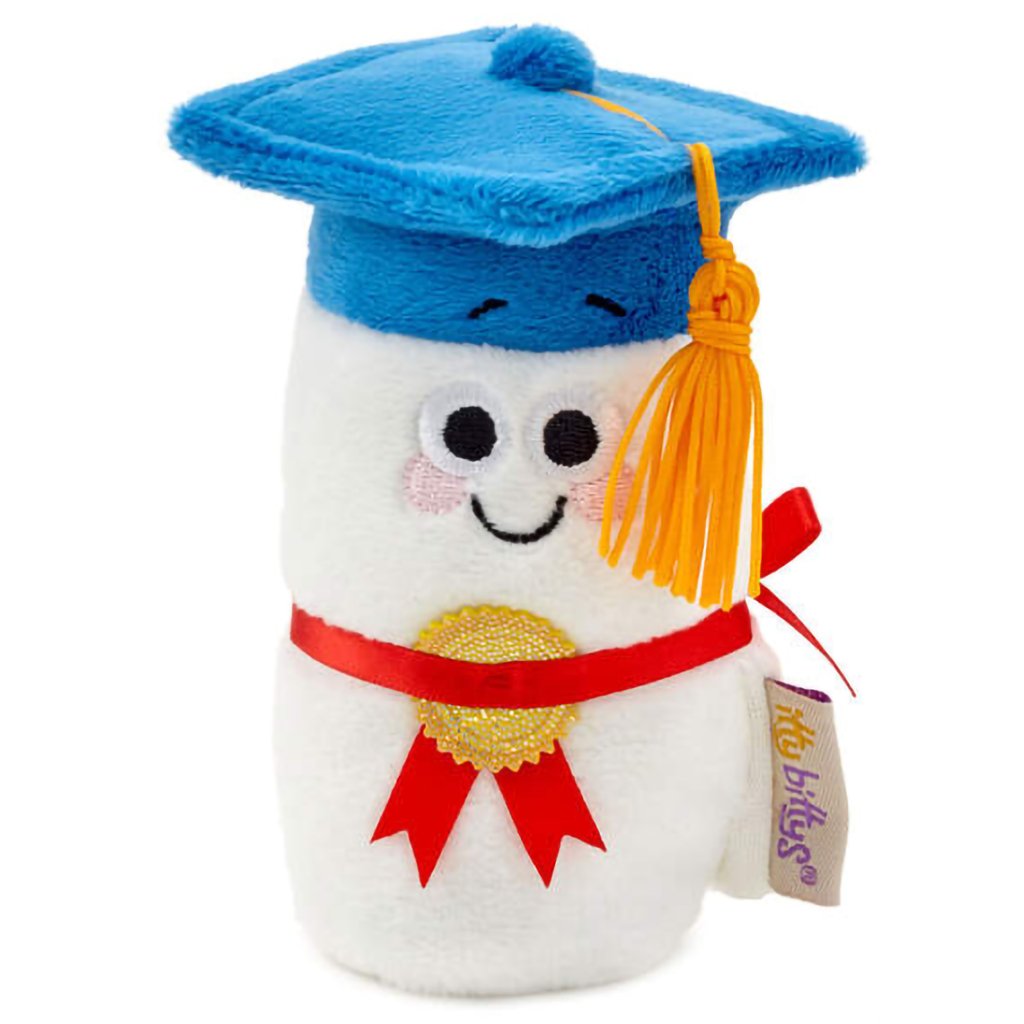 Hallmark  itty bittys® Diploma Plush With Sound