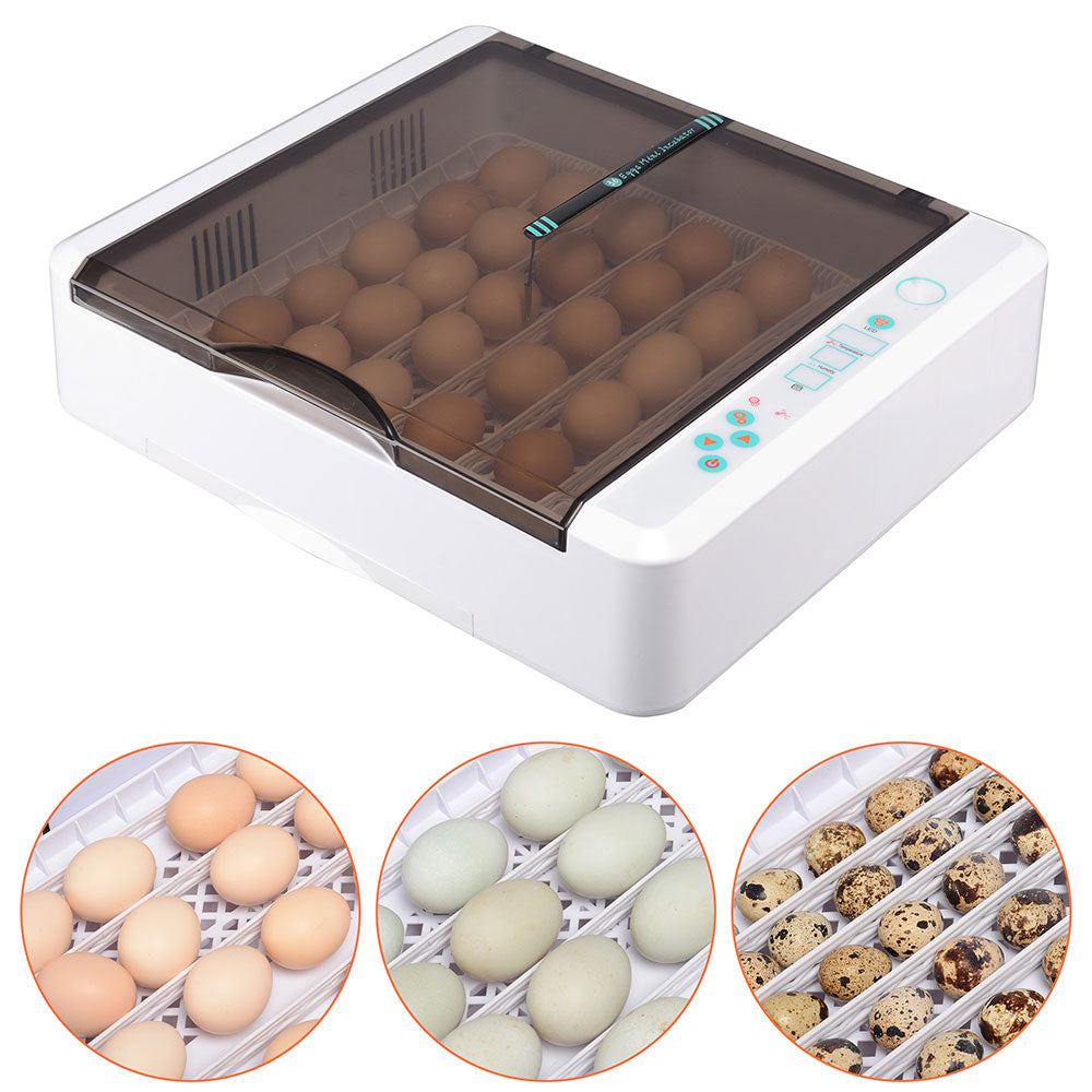 Yescom 36 Egg Incubator Auto Turning Temper Humidity Control