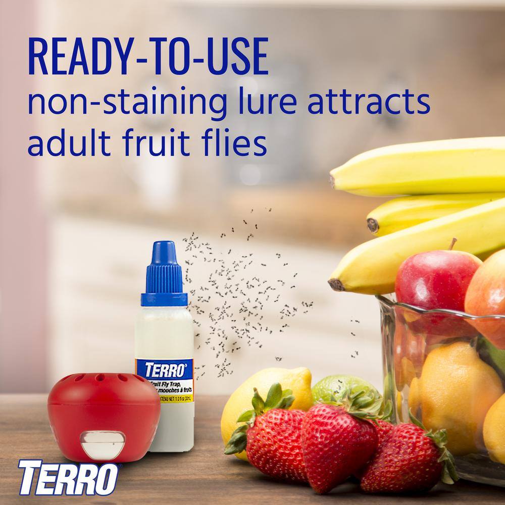 TERRO Ready-to-Use Indoor Fruit Fly Traps with Bait (2-Count) T2502B