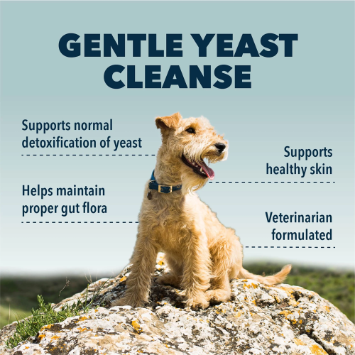 Four Leaf Rover Yeast Guard Anti-Fungal Herbs for Dogs