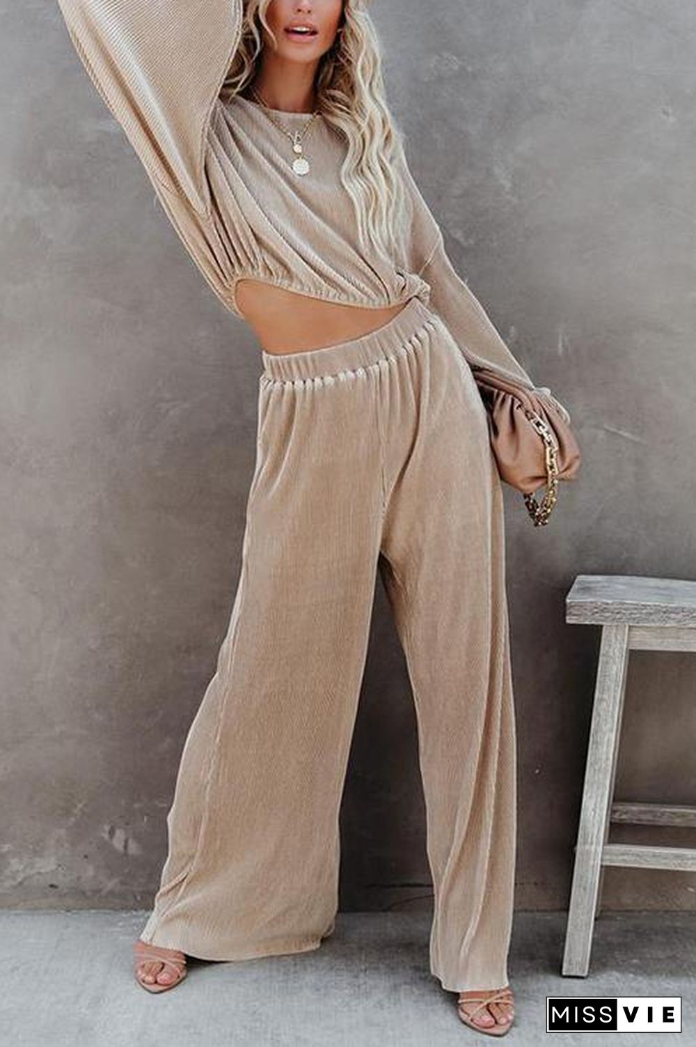 Pleated Crop Blouse Wide Leg Pants Set