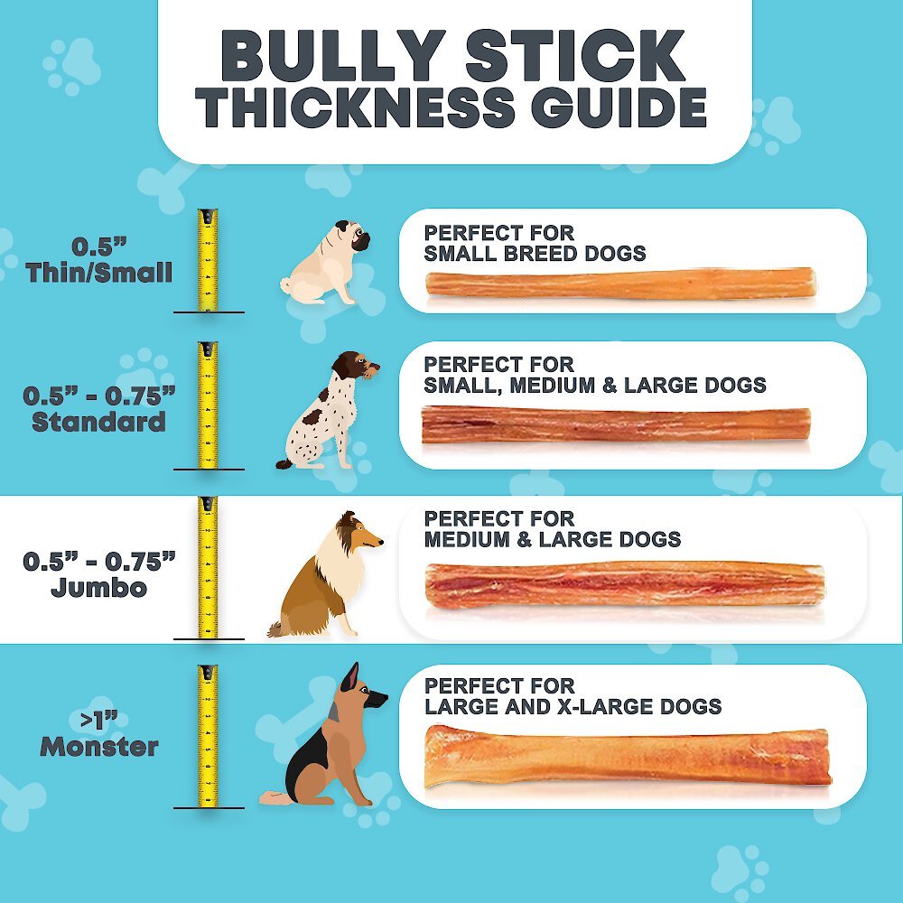 HOTSPOT PETS Thick Jumbo Premium Bully Sticks Dog Treats， 12-in