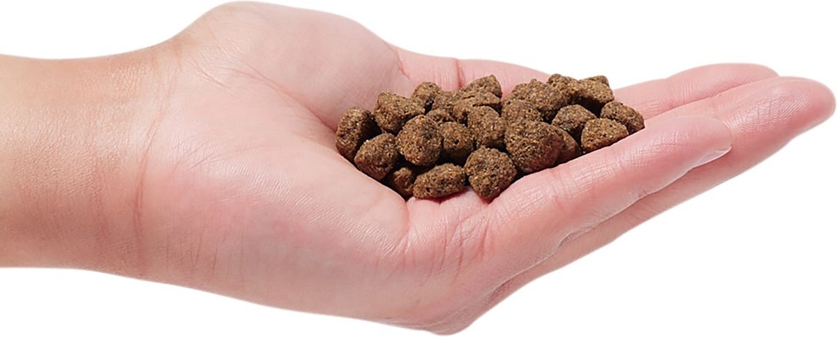 Earthborn Holistic Unrefined Smoked Bison w/Ancient Grains and Superfoods Dog Dry Food