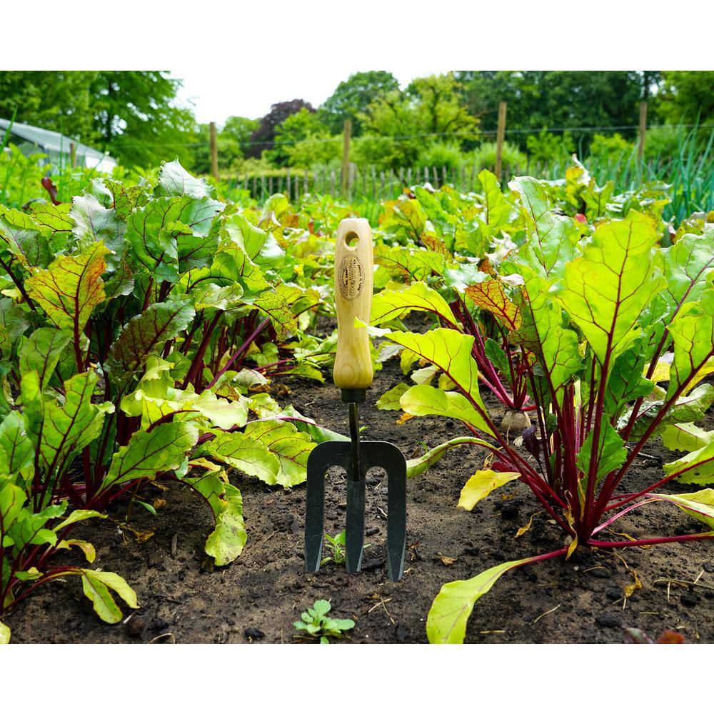 DeWit 3-Piece Garden Tool Set for Mom 11 in. L Tulip Towel11.5 in. L 3-Tine Cultivator 10.8 in. L Hand Fork 31-3349