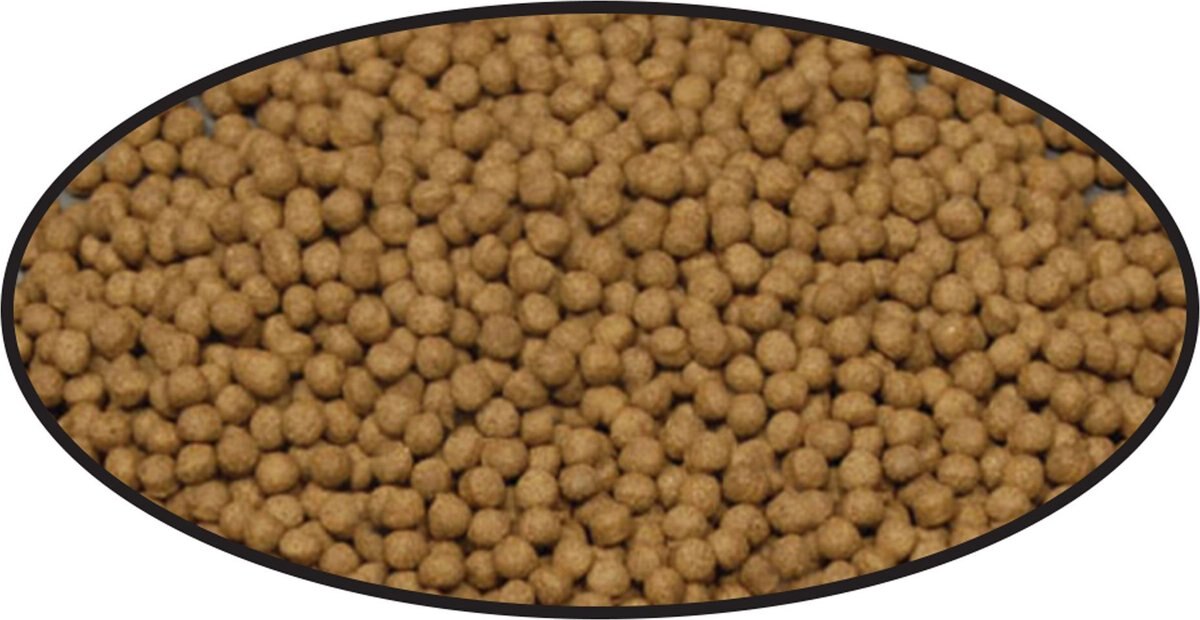 Cobalt Aquatics Select Shrimp Pellets Fish Food