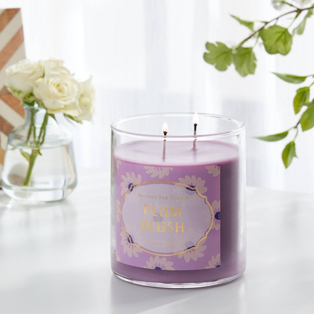 2 wick 15 1oz Jar Candle Plum Blush