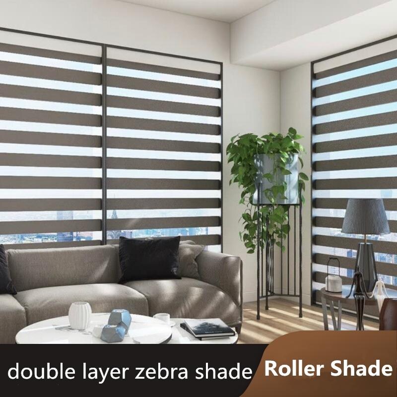 Avobird Dual Layer Roller Blinds Light Filtering Zebra Window Shades for Home Kitchen