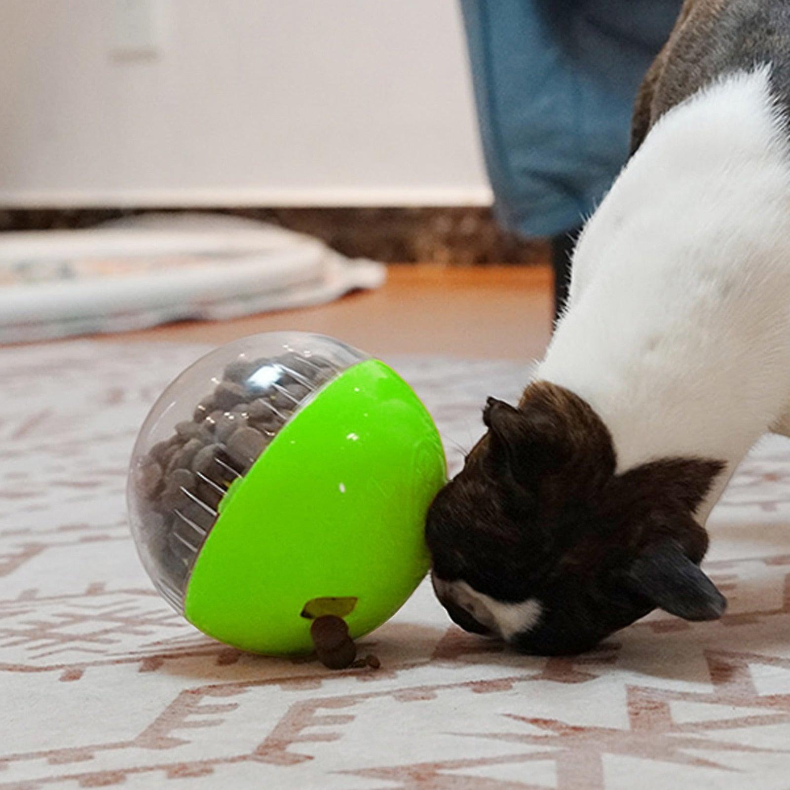 Squeaky dog food ball dispenser toy