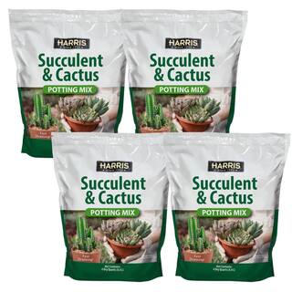 Harris 4qt. Succulent and Cactus Potting Soil Mix (4-Pack) 4SUCCL-4