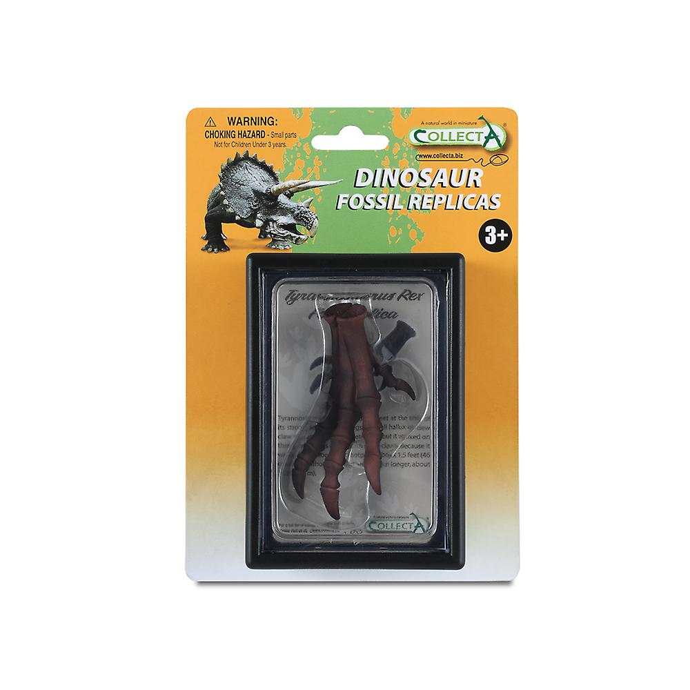 CollectA Foot Replica Of Tyrannosaurus Rex Box Set